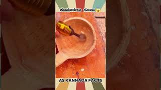 Bamboos Spoon Making Fact Video  kannada facts karnataka amazing youtubeshorts trendingshorts [upl. by Clintock437]