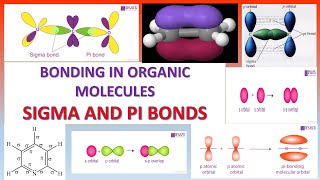 sigma and pi bonds [upl. by Emogene]