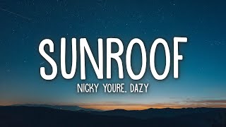 Nicky Youre dazy  Sunroof Lyrics [upl. by Eliades]