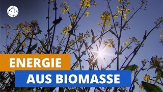 Energie aus Biomasse  total phänomenal  Planet Schule [upl. by Asta]