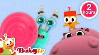 beste van BabyTV 8 😍 kinderliedjes en tekenfilms volledige afleveringen BabyTVNL [upl. by Bolt]