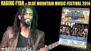 Raging Fyah  Jah Glory  Blue Mountain Music Festival 2014 [upl. by Naimerej]