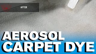 How to Carpet Dye  Aerosol Dye [upl. by Nosde]