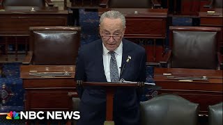 Full speech Sen Schumer calls for new elections in Israel [upl. by Ludwig]