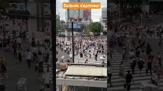 Shibuya Crossing [upl. by Cardon972]