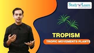 Tropism  Tropic Movements of Plants  Biology  Control and Coordination [upl. by Cord]