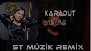 Aylin Demir  Karaduta Yaslandım  Remix [upl. by Melantha]