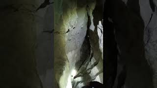 Discovering the secrets of Beerwah Cave [upl. by Ytima]