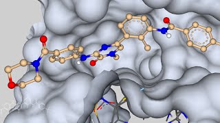 webinar recording Brutons Tyrosine Kinase inhibitors two strategies showcased in SeeSAR [upl. by Aicertap]