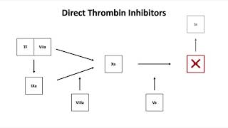 Direct Thrombin Inhibitors [upl. by Nahseez928]