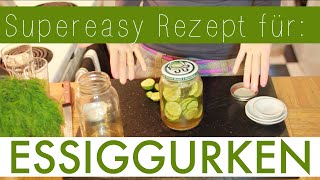 Rezept für Eingelegte Essiggurken zum selber machen [upl. by Amian268]