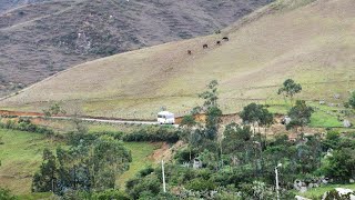 Trayecto Chiclayo Sangana  116 Km como llegar región Cajamarca [upl. by Saideman]