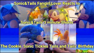 Sonic Plush The CookieSonic Tickles TailsTails Birthday Reaction [upl. by Llehcar]