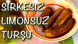 FERMENTE SALATALIK TURŞUSU TARİFİ  SİRKESİZ LİMONSUZ PROBİYOTİK TURŞU NASIL YAPILIR [upl. by Ynohtnaed]