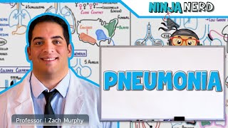 Pneumonia  Overview [upl. by Anuaek]