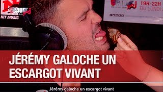 Jérémy galoche un escargot vivant  C’Cauet sur NRJ [upl. by Ennylhsa429]