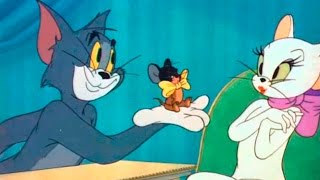 Tom and Jerry  Episode 55  Casanova Cat 1951 [upl. by Tranquada]