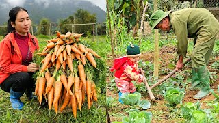 Harvesting carrots to sell  gardening  taking care of pets [upl. by Joaquin152]