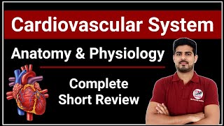 Cardiovascular System Anatomy amp Physiology Complete Short Review [upl. by Atikim]