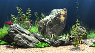 Dream Aquarium Virtual Fishtank 1 [upl. by Ycam]