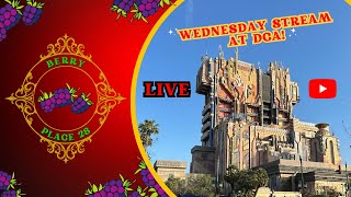 Wednesday Stream at DCA LIVE [upl. by Elleirua261]