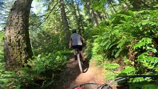 Silver Falls Mtn bike riding Oregon 4K [upl. by Helbonnah]