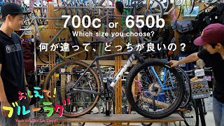 Lowグラベル“650bと700c”どっちにするのか対談 [upl. by Ainoek]