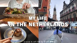 VLOG MY LIFE IN THE NETHERLANDS Delft Leiden Haarlem [upl. by Allicserp9]