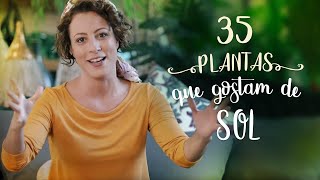 35 PLANTAS que AMAM SOL boas para CALOR e FRIO [upl. by Eustis]