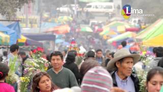 Celebraciones Después De La Muerte  La Fiesta de los Fieles Difuntos en Lima 14 min [upl. by Ecallaw615]