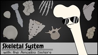 Skeletal System [upl. by Odarbil]