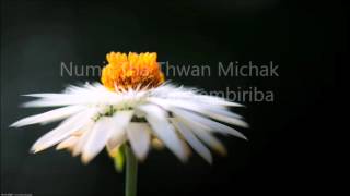 Manipuri Gospel Song Numit Tha Thawan michak [upl. by Elinore]