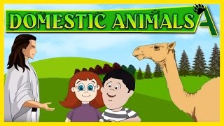 Name Of Domestic Animals Song for kids [upl. by Lotson]