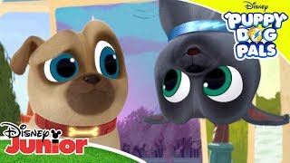 🐾 Pawesome Songs  Puppy Dog Pals  Disney Channel Africa [upl. by Magnusson282]