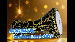 Tarabana criminala 2024 [upl. by Sherie]