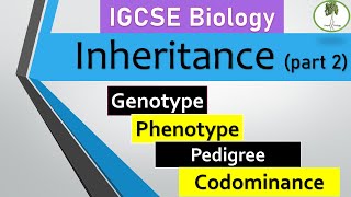 Inheritance part2 Genotype vs phenotype pedigree monohybrid cross Codominance IGCSE biology [upl. by Bluh]