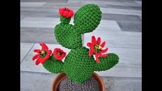 CACTUS GRANDE DE GANCHILLO  CON FLORES [upl. by Arvy]