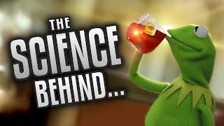 The Science Behind Kermit Memes  Some Boi Online [upl. by Herman649]