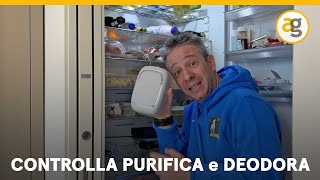 PURIFICATORE DARIA per FRIGO Recensione SHELFY by VITESY [upl. by Allianora837]