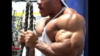 Phil Heath  Triceps  World Bodybuilder Workout [upl. by Rame414]