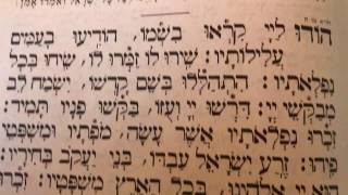 Tefilah 1 Hodu  Jewish Morning Prayer  Sharcharis  תפילה 1 הודו – שחרית [upl. by Ihtak]