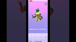 Evolution Grookey  Thwackey  Rillaboom pokemongo Grookey Maxparticles maxout Polemonevolution [upl. by Aven]