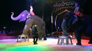 Le cirque Medrano à Quimper tout un spectacle [upl. by Tynan]