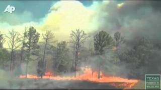 Raw Video Shows How Fast Texas Wildfire Spread [upl. by Radmen]