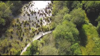 Regards croisés sur la biodiversité à Melesse [upl. by Terti]