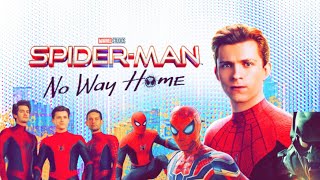 SpiderMan No Way Home Movie  Tom Holland Tobey Maguire amp Andrew Garfield Epic CrossoverReview [upl. by Enneillij451]