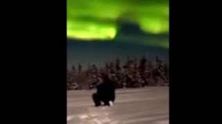 Alaska Northern Lights or Aurora Borealis Video from a customer taken on his winter vacation [upl. by Sitelc]