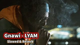 Gnawi  LYAM  Slowed amp Reverb [upl. by Auqeenahs]