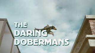 THE DARING DOBERMANS 1973 Trailer [upl. by Anawqahs172]