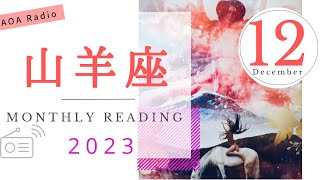 【山羊座♑︎12月】思い出す 体験型地球の山羊座的楽しみ方 バーチャルリアリティと現実を遊ぶ別次元へ移行 [upl. by Aneehsar]